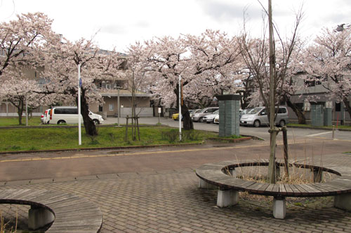 22.4.15水原小学校