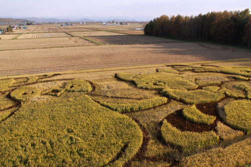 田んぼアート