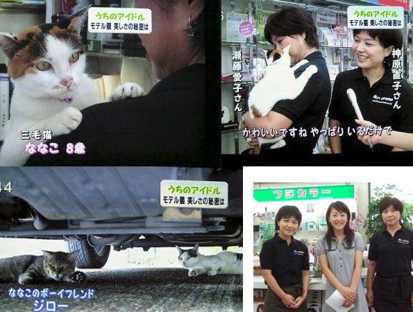 テレビ新潟の取材を受けました。(2008.9.4放映)