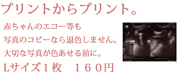 �v�����g����v�����g�B�i�ʐ^�̃R�s�[�j