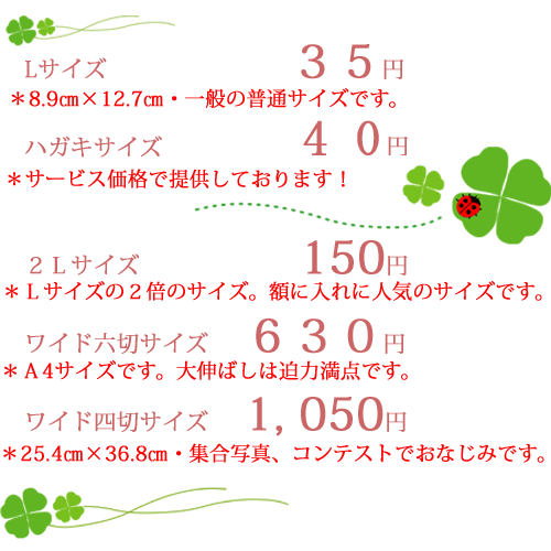 プリント料金表