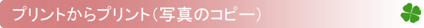 �v�����g����v�����g�B�i�ʐ^�̃R�s�[�j