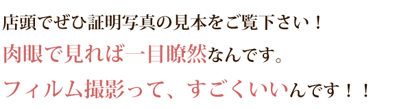 ����Ō���Έ�ڗđR�̃t�B�����B�e�ɂ��ؖ��ʐ^