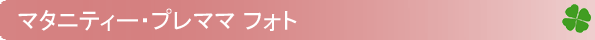 �}�^�j�e�B�E�v���}�} �t�H�g